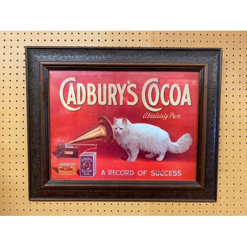 223 - CADBURYS COCOA ADVERTISING PRINT