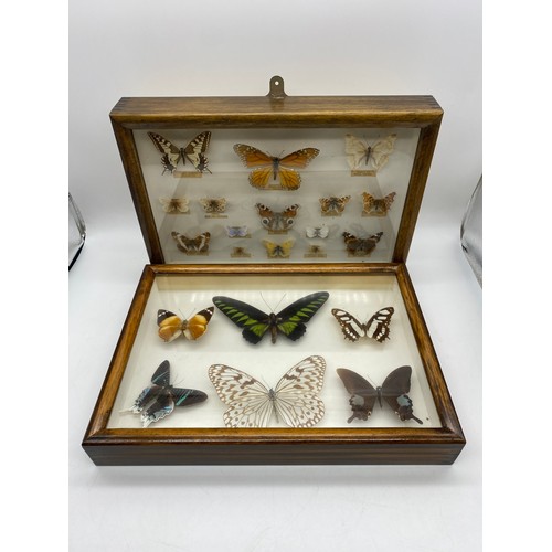 454 - TWO FRAMED AND GLAZED CASES OF EXOTIC BUTTERFLIES