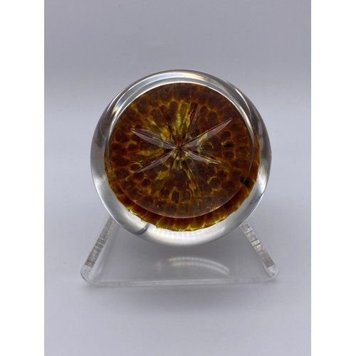 406 - SIX GLASS PAPERWEIGHTS INC. CARPET EXAMPLES