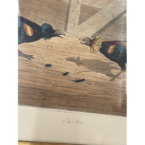 356 - PAIR OF TINTED ENGRAVINGS OF COCK FIGHTING AFTER COOPER ENTITLED THE SET TWO AND THE VICTORY FRAMED ... 