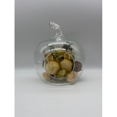 654 - TAXIDERMY DUCKLINGS IN GLASS APPLE TERRARIUM