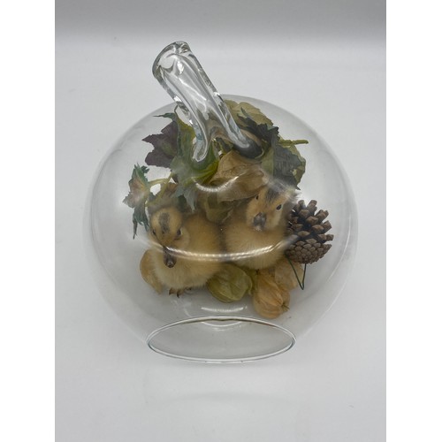 654 - TAXIDERMY DUCKLINGS IN GLASS APPLE TERRARIUM