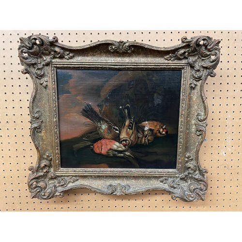 382 - OILS ON CANVAS AFTER VAN DER AELST STILL LIFE OF DEAD FINCHES IN GILT FRAME 31CM X 25CM