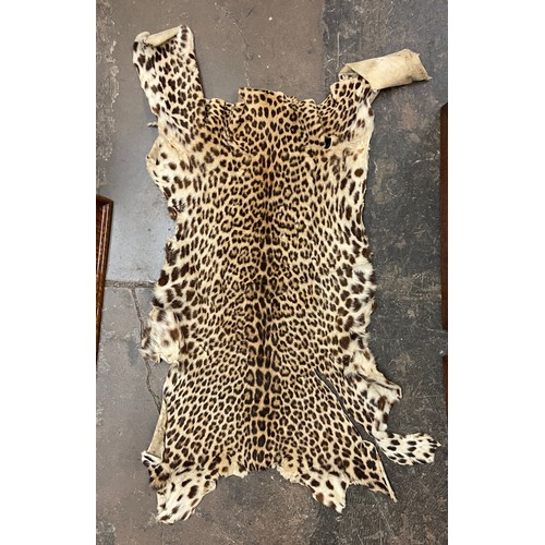 658 - CHEETAH PELT 110CM