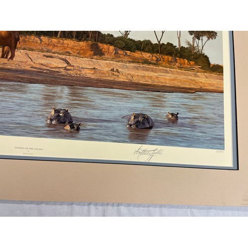 213 - QUANTITY OF LIMITED EDITION ANTHONY GIBBS PRINTS OF WILDLIFE SIGNED WITH BLIND STAMPS