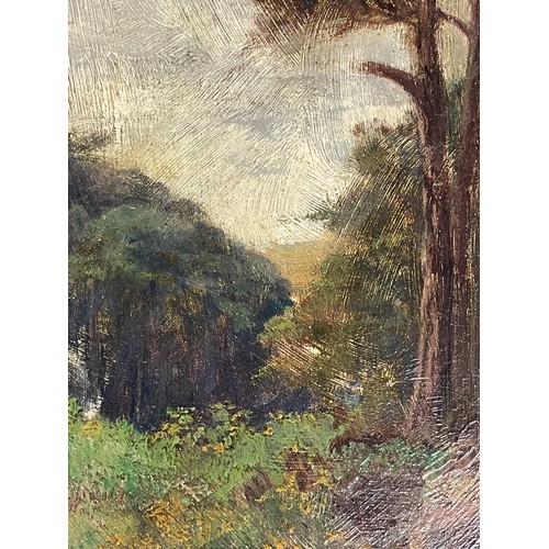 215 - OIL ON BOARD OF A FOREST PATH BY ALFRED JENKS