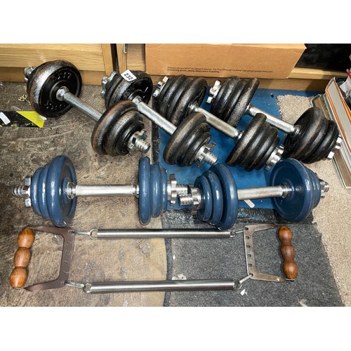 232 - SELECTION OF DUMB BELLS AND WEIGHTS