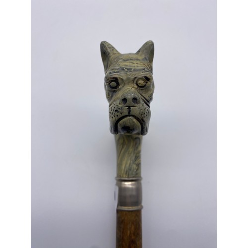 421A - WATER MARBLED BOXER DOG HEAD POMMEL WALKING STICK