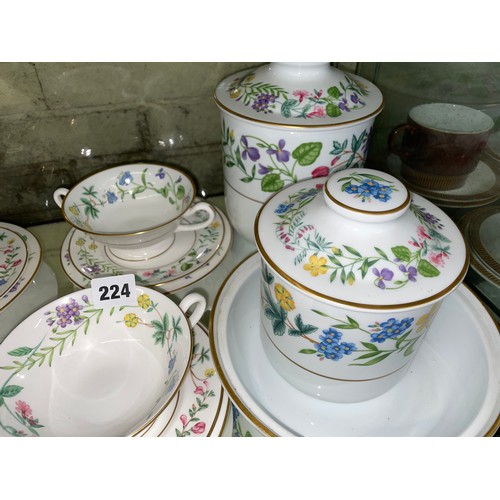 224 - ROYAL WORCESTER ARCADIA BONE CHINA DINNER PLATES, BOWLS AND JARS