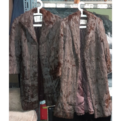 341 - TWO NATIONAL FUR COMPANY BROWN FUR COATS