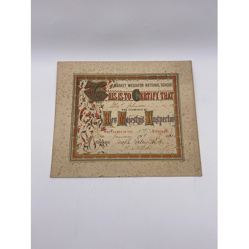 449 - NEEDLE POINT SAMPLER UNFRAMED WORKED BY E.A.JOHNSON AGED 8 1881 WITH CERTIFICATES