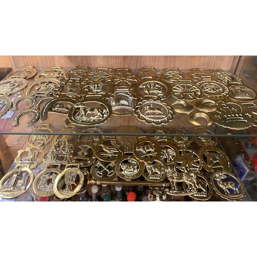 335 - SELECTION OF HORSE BRASSES