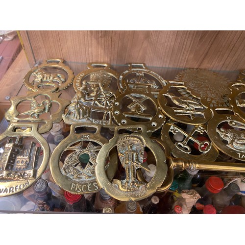 335 - SELECTION OF HORSE BRASSES