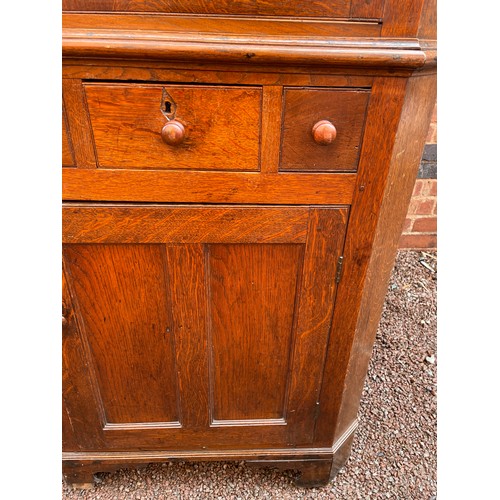 195 - LATE GEORGIAN OAK FULL UPRIGHT CORNER CUPBOARD WITH GLAZED DOOR 192CM HEIGHT APPROX