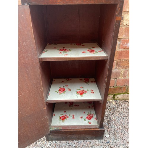 218 - MAHOGANY POT CUPBOARD