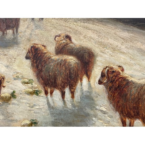 291 - DOUGLAS GRAHAM OILS ON CANVAS SHEEP IN A SNOWY HILLSIDE LANDSCAPE FRAMED 89CM X 60CM APPROX