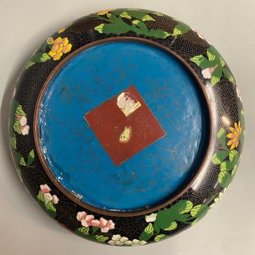 519 - LARGE CHINESE CLOISONNE BLOSSOM PATTERN SHALLOW BOWL ON BLACK GROUND WITH CHARACTER MARK TO UNDERSID... 