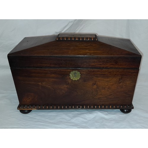 723 - REGENCY ROSEWOOD SARCOPHAGUS TEACADDY BOX