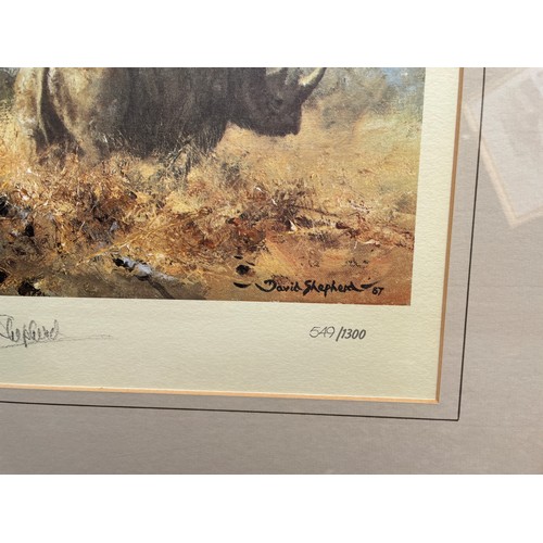 244 - DAVID SHEPHERD PRINT RHINO BEWARE 549/1300 SIGNED IN PENCIL WITH INVOICE FRAMED AND GLAZED