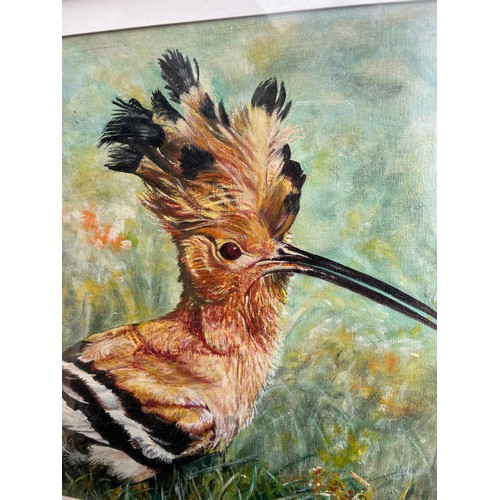 270 - OILS ON BOARD OF A HOOPOE BIRD FRAMED AND GLAZED