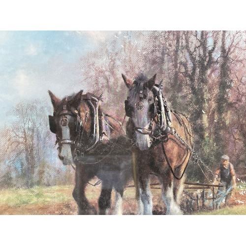 255 - DAVID SHEPHERD LITHOGRAPGIC PRINT PLOUGH TEAM SIGNED IN PENCIL WITH BLIND STAMP FRAMED AND GLAZED