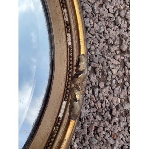 264 - GILDED BEADED OVAL FRAMED MIRROR