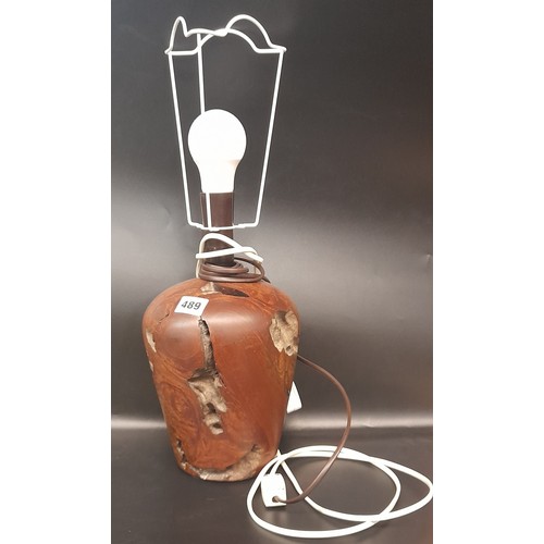 489 - MALLEE ROOT OVOID TABLE LAMP