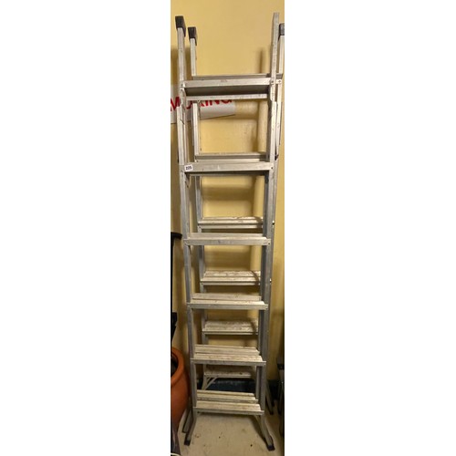 225 - THREE WAY LADDER