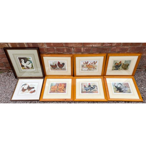 638 - SERIES OF SIX PRINTS OF FARM YARD POULTRY FRAMED AND GLAZED, ONE OTHER ENTITLED RHODE ISLAND REDS, A... 