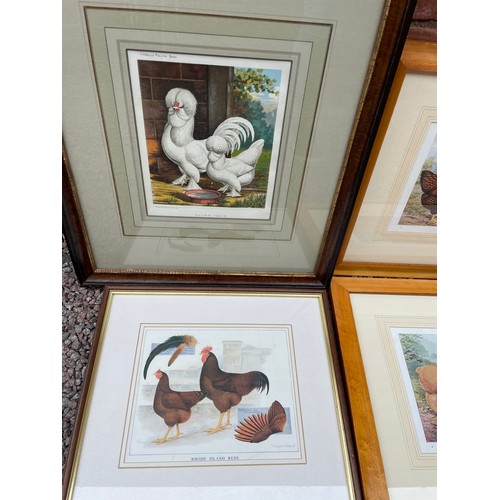 638 - SERIES OF SIX PRINTS OF FARM YARD POULTRY FRAMED AND GLAZED, ONE OTHER ENTITLED RHODE ISLAND REDS, A... 