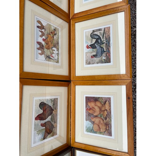 638 - SERIES OF SIX PRINTS OF FARM YARD POULTRY FRAMED AND GLAZED, ONE OTHER ENTITLED RHODE ISLAND REDS, A... 