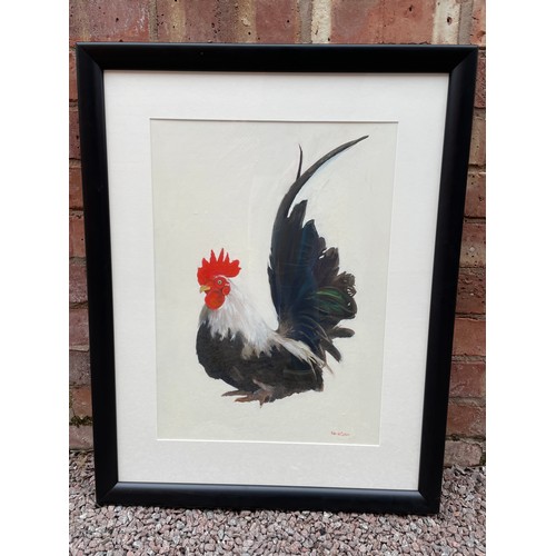 641 - ROLAND CORBIN WATER COLOUR OF A ROOSTER FRAMED AND GLAZED