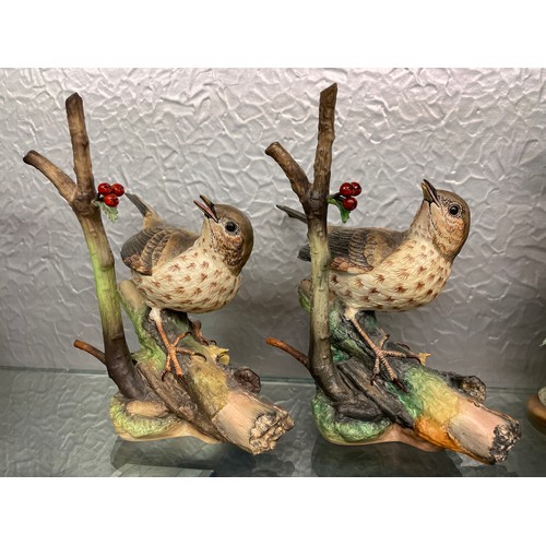 471 - TWO COALPORT LIMITED EDITION BRITISH BIRD SERIES SONG THRUSH