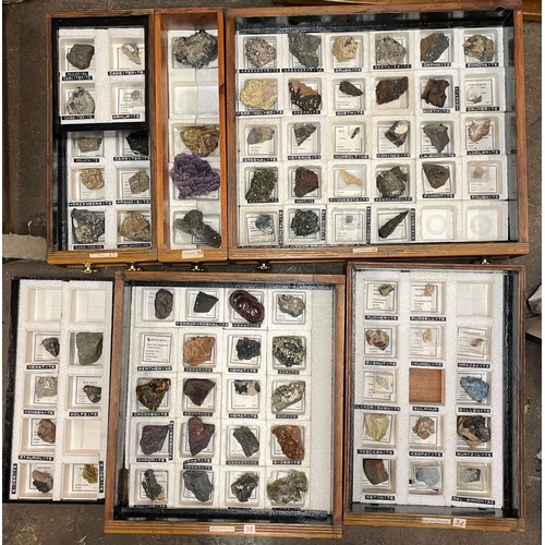 238 - HANDCRAFTED TRIANGULAR SPECIMEN CHEST CONTAINING A LARGE AMOUNT OF ROCK AND MINERAL SAMPLES