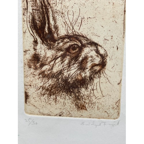 566 - LIMITED EDITION ETCHING OF A HARE