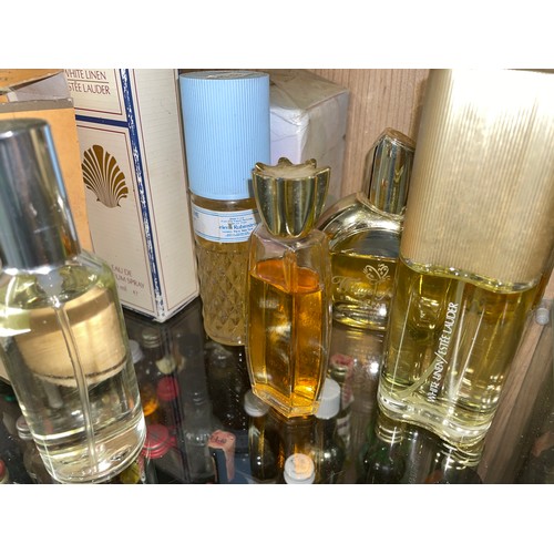 414 - SHELF OF LADIES PERFUME FRAGRANCES INC ESTEE LAUDER