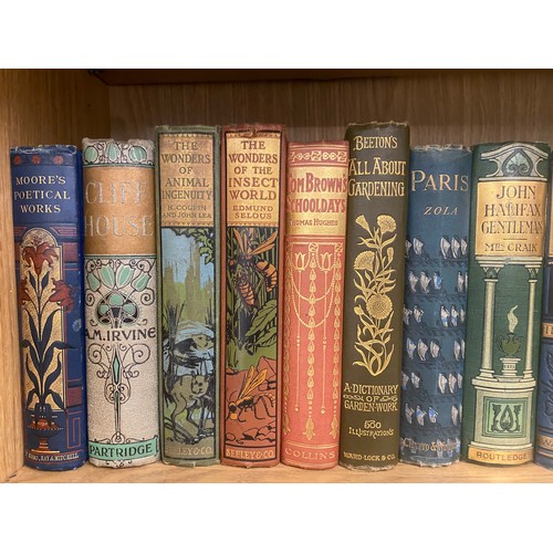 243 - SHELF OF VARIOUS BOOKS AND NOVELS WITH PICTORIAL BINDINGS