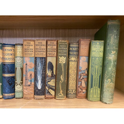 243 - SHELF OF VARIOUS BOOKS AND NOVELS WITH PICTORIAL BINDINGS