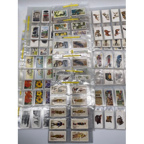 594 - BOX OF PERSPEX SLEEVES FULL AND PART SETS OF CIGARETTE CARDS INCLUDING JOHN PLAYERS, CRICKETERS CYCL... 