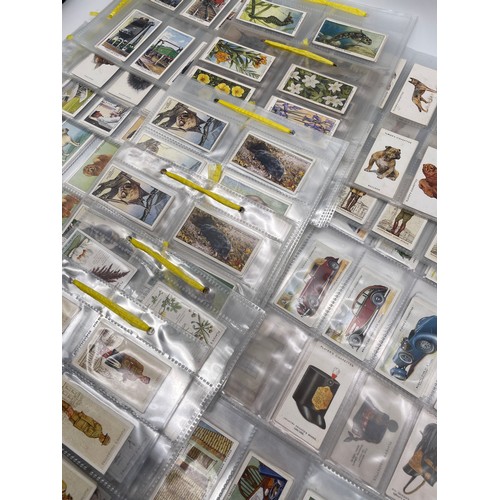 594 - BOX OF PERSPEX SLEEVES FULL AND PART SETS OF CIGARETTE CARDS INCLUDING JOHN PLAYERS, CRICKETERS CYCL... 