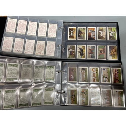 600 - TWO BINDERS OF GALLAGHER LIMITED CIGARETTE CARDS INCLUDING FAMOUS FOOTBALLERS, ZOO AND AQUARIUM,