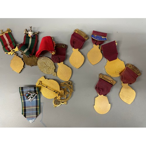 487 - BAG OF RMBI GILT MEDALLIONS AND AN ANCIENT ORDER OF THE FORRESTERS ENAMEL BADGES