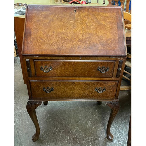 43 - BURR WALNUT CROSS BANDED BUREAU ON CABRIOLE LEGS