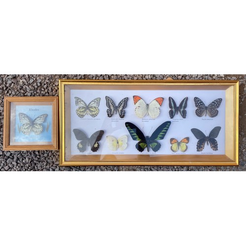 792 - TWO CASES OF MOUNTED BUTTERFLIES