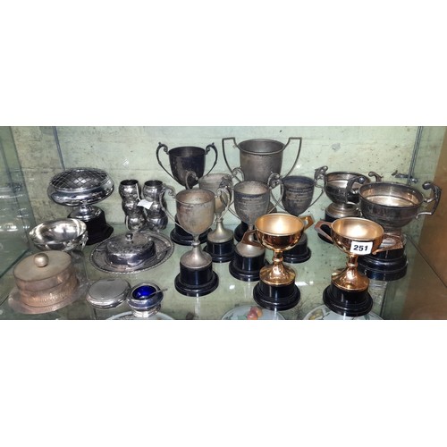 251 - SHELF OF EPNS PRESENTATION TROPHIES OF SOCLES, PLATED ROSE BOWL, NAPKIN RINGS