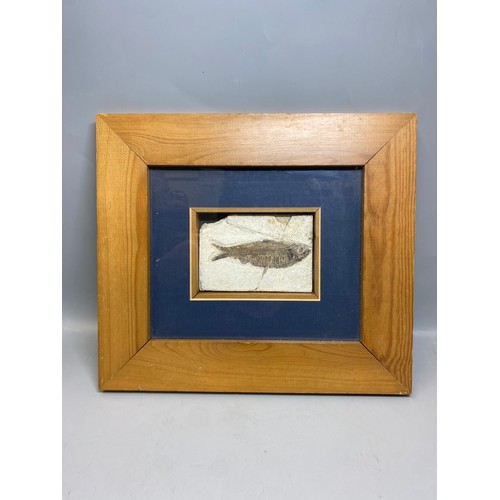 Lot 496       