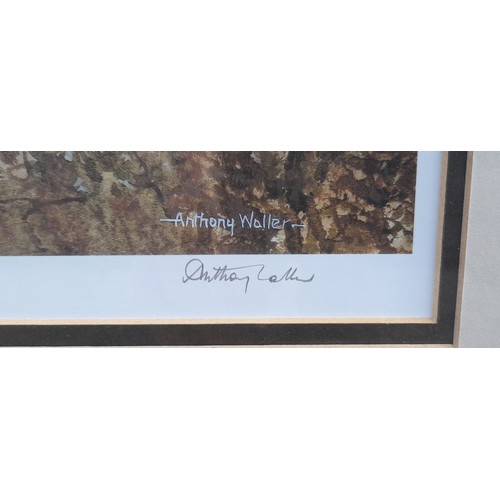 699 - LIMITED EDITION LITHOGRAPHIC PRINT BY ANTHONY WALLER 9/850 SIGNED IN PENCIL AUTUMN LANDSCAPE