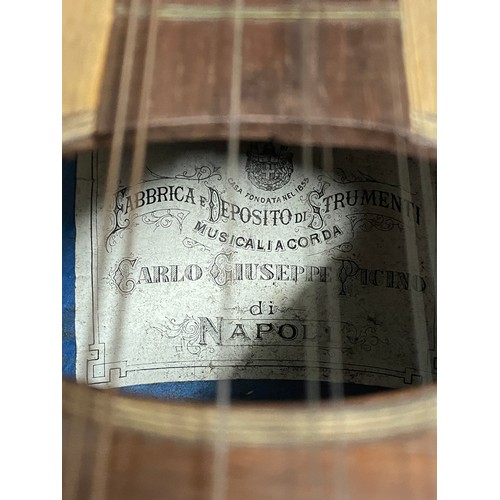 685 - CASED CARLO GIUSEPPE PICINO OF NAPOLI MANDOLIN