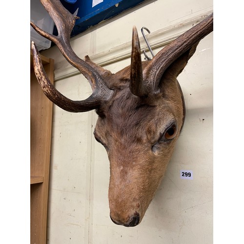 299 - TAXIDERMY STAGS HEAD