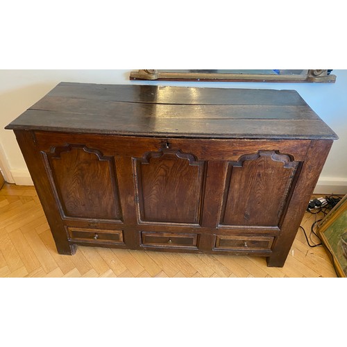 206 - 18TH CENTURY OAK ARCHED FIELDED THREE PANEL FRONTED MULE CHEST